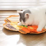 funny cat toy supplier