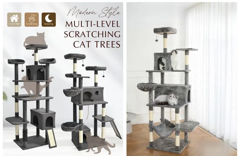 Alberi per gatti grandi