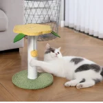 cat scracting tree bulk