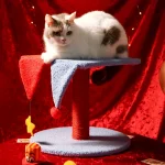 kleine kat boom toren fabriek