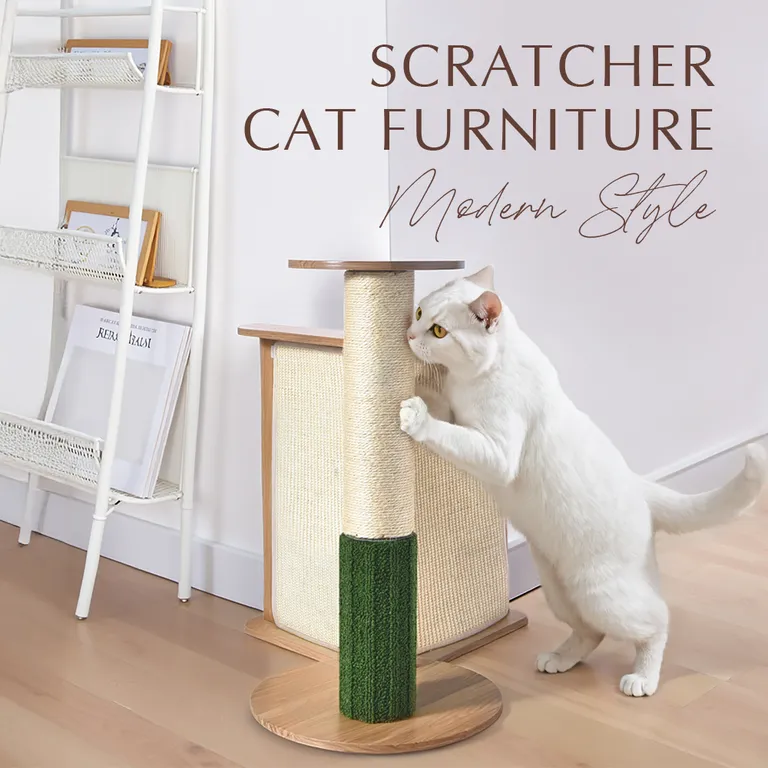 Griffoir pour chat et poteau de grattage