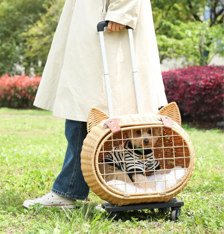 Trasportini per animali domestici con ruote