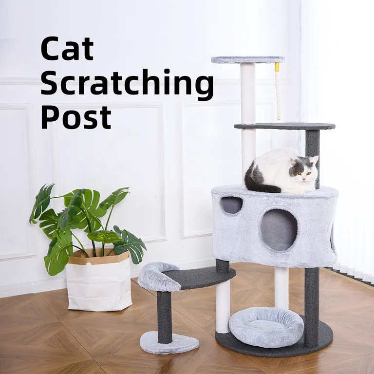 arbre à chat