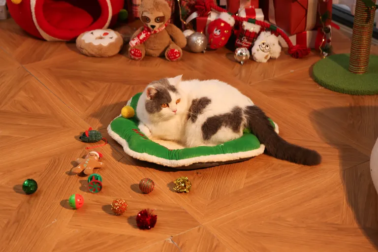 Рождественские игрушки для кошек