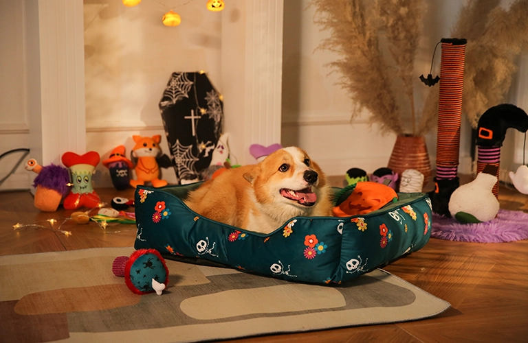 Forniture per animali domestici di Halloween