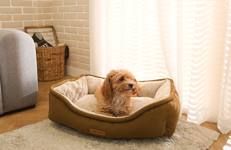 Tipi di letti per cani lavabili