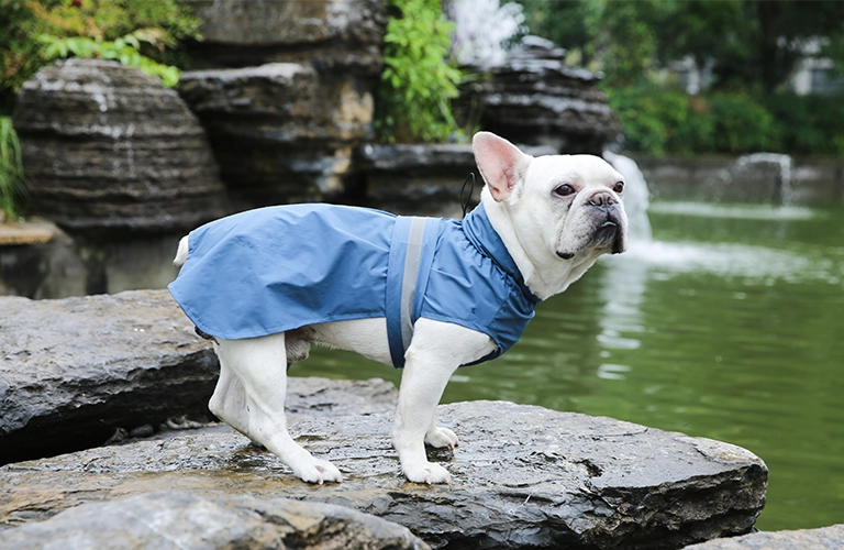 Capas de chuva impermeáveis para cães