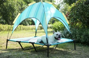 Lit surélevé pour chien