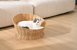 Welk kattenbed is het beste?