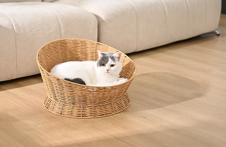 Quale letto per gatti è il migliore