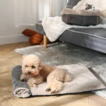 almofada térmica para cães por atacado