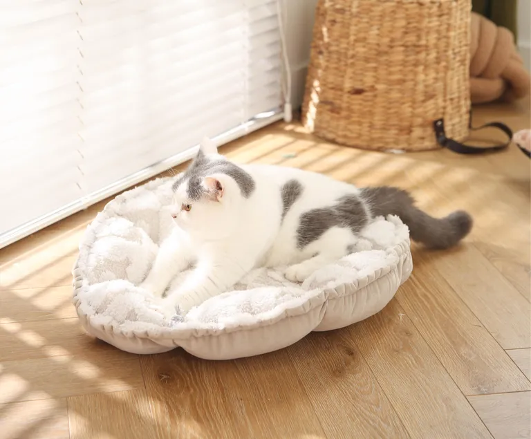 cama plegable para gatos