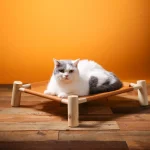 raised dog beds wholesale