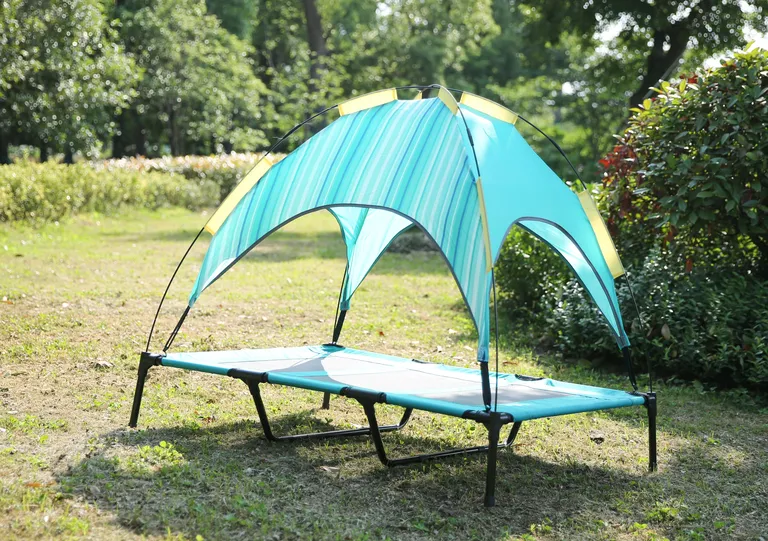 rasied dog beds