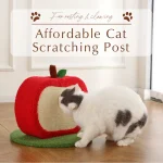 ベスト・スモール・キャット・ツリー・サプライヤー