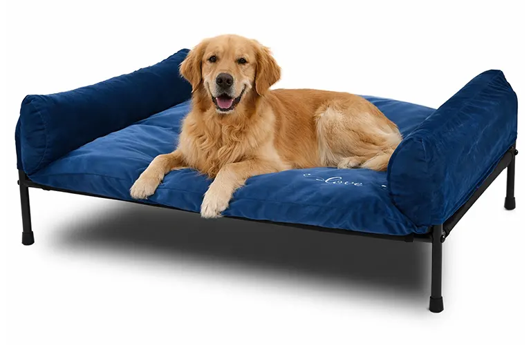 I migliori lettini rialzati per cani
