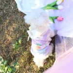 Konijnenkostuum voor honden op maat