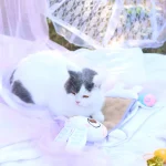 Игрушки для кошек на Пасху на заказ