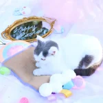 Фабрика пасхальных игрушек для кошек