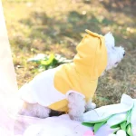 Hühnerkostüm für Hunde, individuell angefertigt