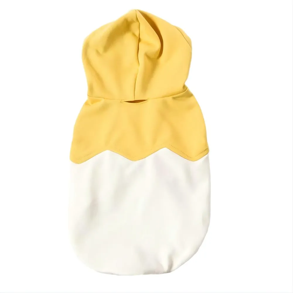 Cães com fantasia de galinha