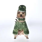 Disfraz de dinosaurio adorable para perros - Fábrica