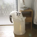 Diy Cat Tree for Small Spaces Custom