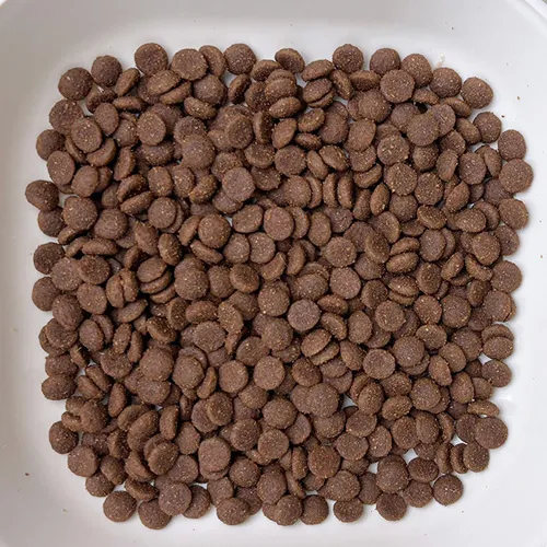 Dry Cat Food