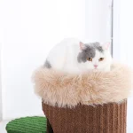 Modern Cat Tree Tower Custom