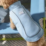 Vêtements d'été pour chiens personnalisés