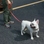Guinzaglio per cani resistente all'acqua personalizzato
