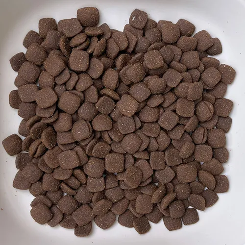 dry dog food