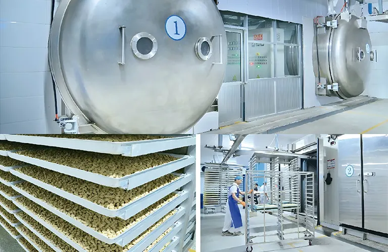 freeze-drying equipment