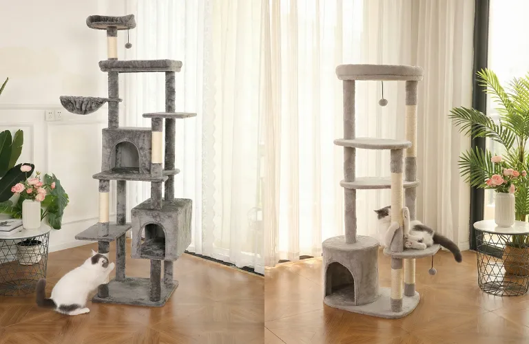 Le migliori marche di alberi per gatti grandi