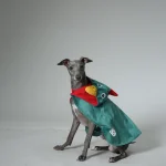 Hund-Cosplay-Fabrik