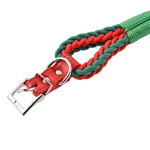 Pet Collar Supplier