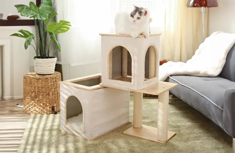 Fornitore affidabile di condominio per gatti