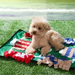 Snuffle Hundespielzeug anpassbar