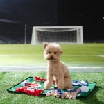 Snuffle Hundespielzeug Customization