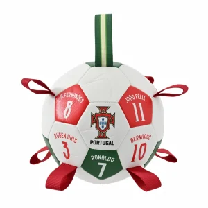 Fußball Hundespielzeug