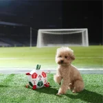 Aangepaste voetbal hond speelgoed