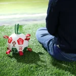 Voetbal Hond Speelgoed Aanpassing