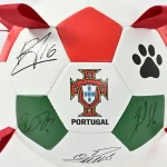 Voetbal Hond Speelgoed Fabrikant