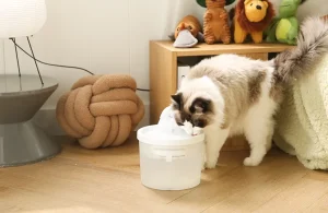 Qual é a melhor fonte para gatos