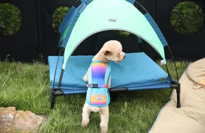 koelvest voor honden