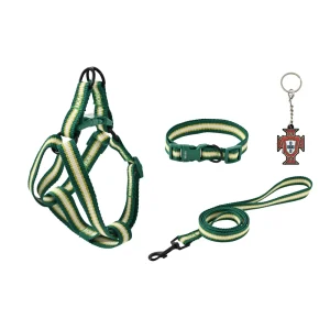Hundeleinen-Geschirrset