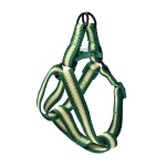 dog leash harness set supplier