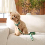 dog leash harness set wholesale