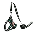 犬用リードセット 供給者