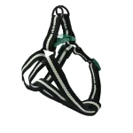 犬のリードセット卸売